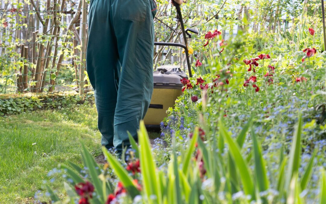 Mantenimiento de jardines en primavera, claves para evitar plagas